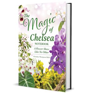 Magic of Chelsea - Notebook 2024